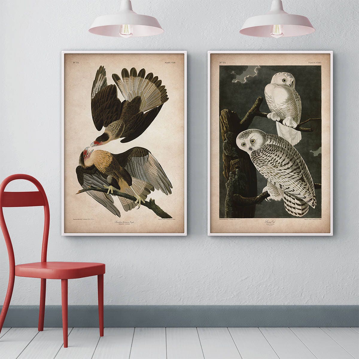 Audubon Birds Framed Print Set Eagle Print Owl Print - Etsy
