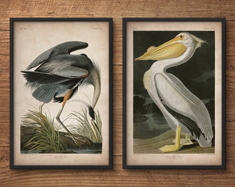 Audubon birds, Print set, Heron print, Pelican print, Audubon print, Birds of America, John James Audubon, Large print, Wall art