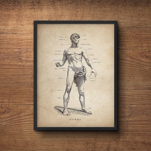 Anatomy poster of human body, Anatomy illustration, Anatomy decor, Human anatomy poster, Anatomy print, Medical student gift, Wall art
