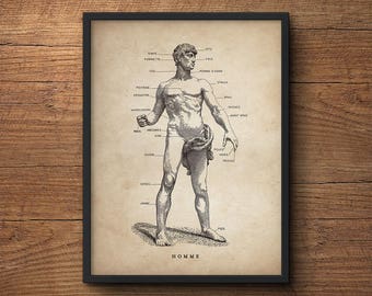 Anatomy poster of human body, Anatomy illustration, Anatomy decor, Human anatomy poster, Anatomy print, Medical student gift, Wall art