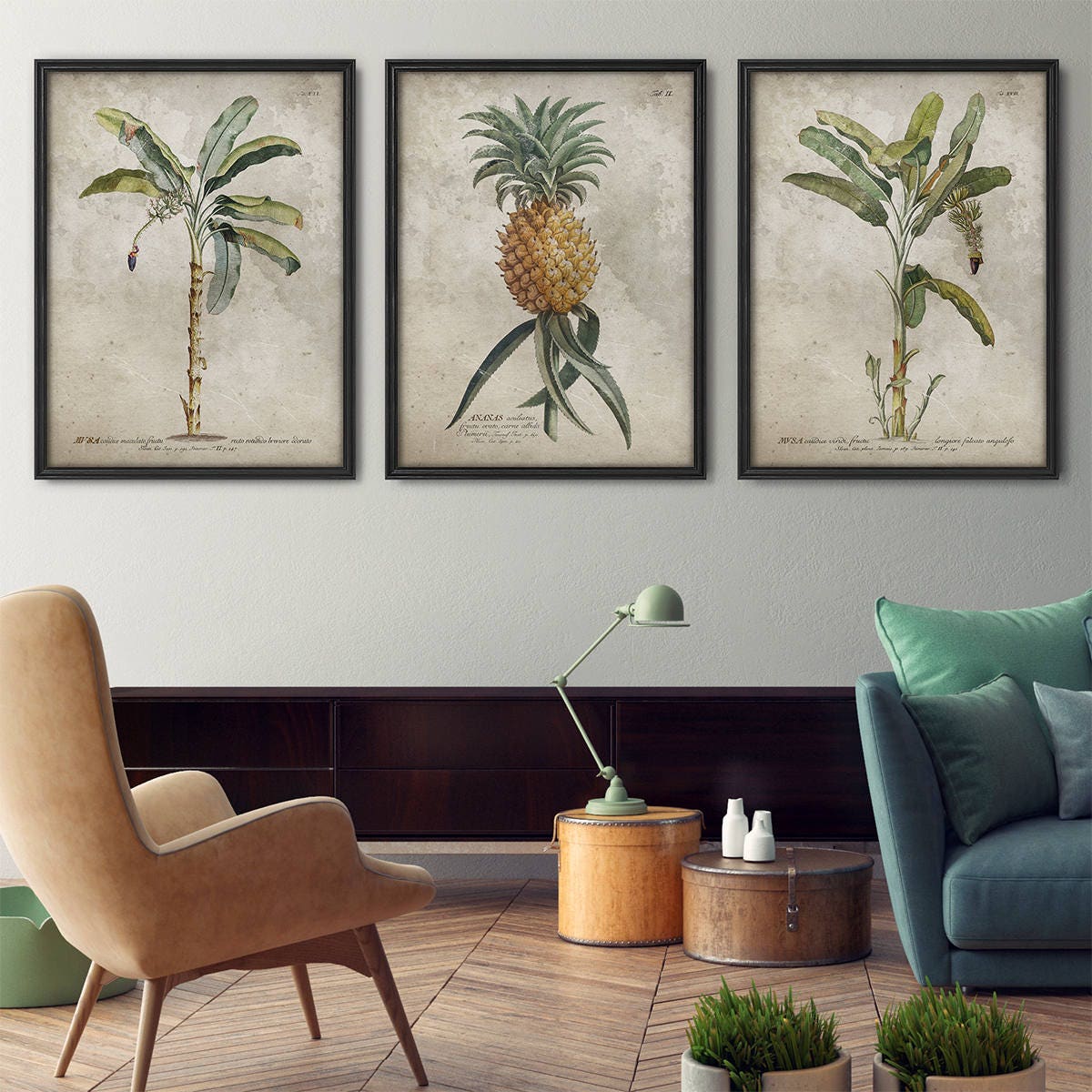 Botanische print set van 3, Tropische prints, Palmboom print, Palmblad  print, Ananas print, Antieke botanicals, Grote print set, Kunst aan de muur  - Etsy België, image size:1200x1200
