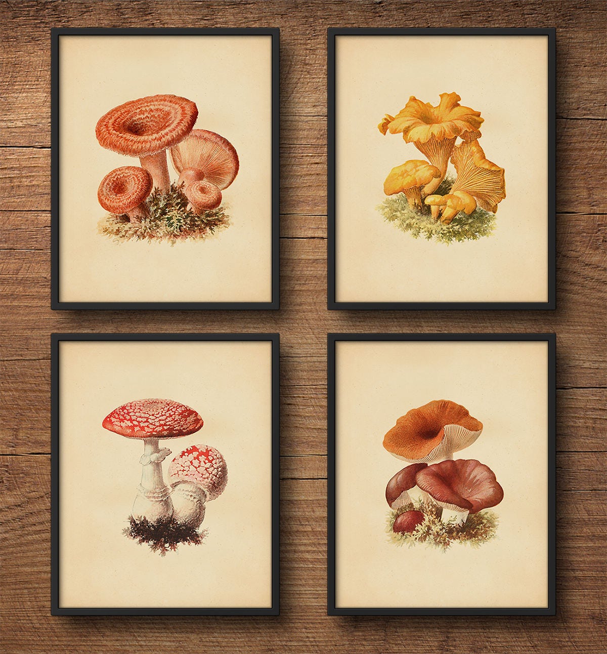 Framed Art Set Mushroom Prints Botanical Print Set Framed Etsy