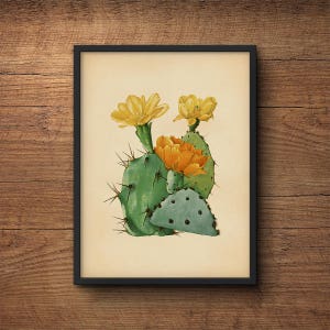 Impresión de cactus, impresión de cactus grande, cartel de cactus, arte de pared de cactus, arte de cactus, impresión botánica, arte botánico, arte de cactus, arte de pared