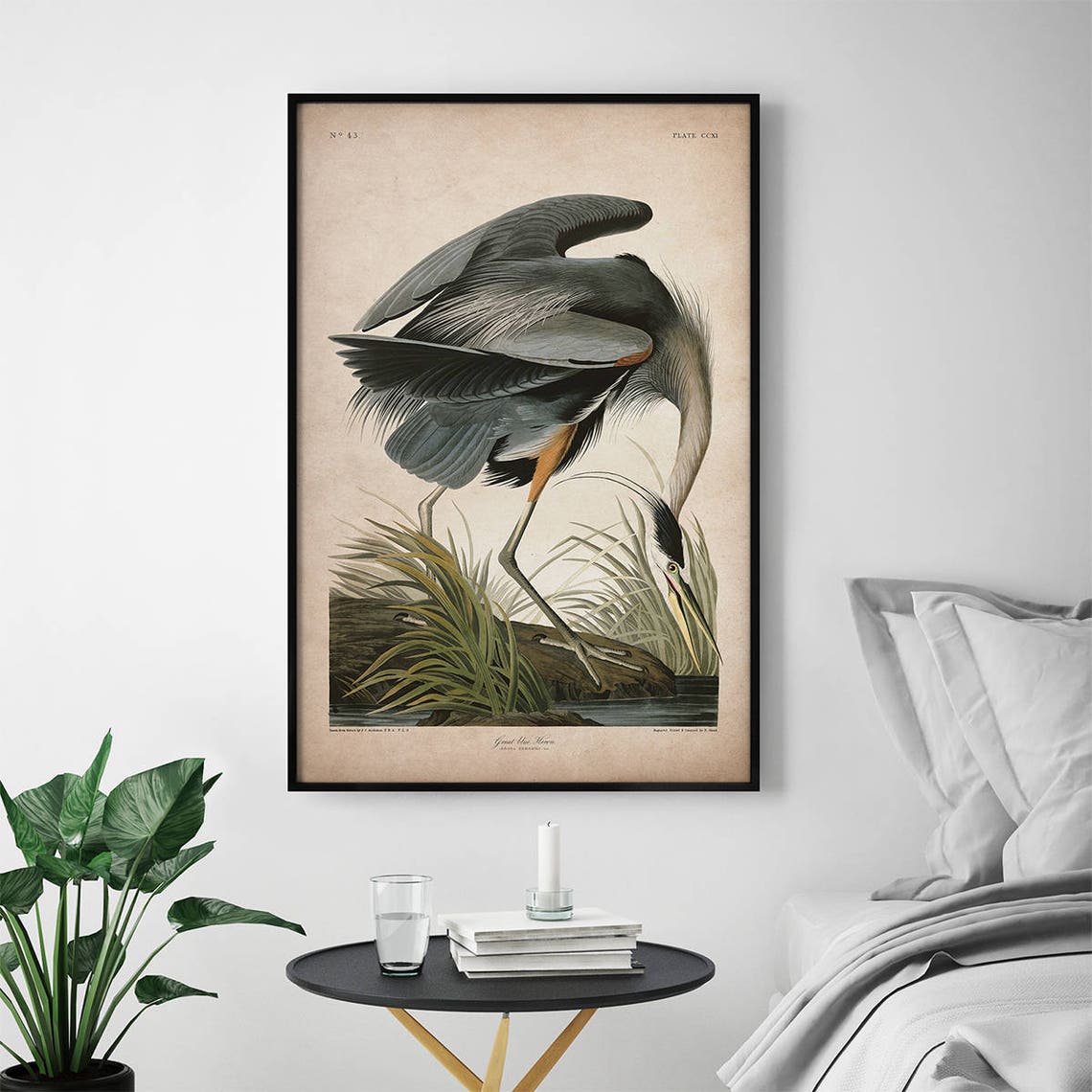 Heron bird print Framed art Heron print Audubon print Etsy