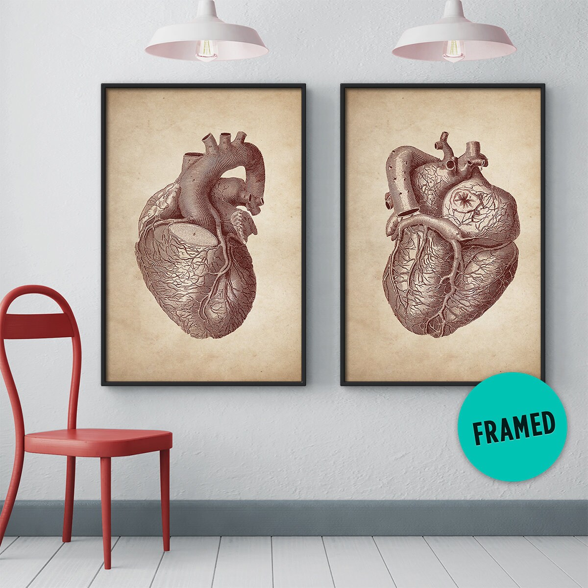 Human Heart Prints, Framed Set of 2, Framed Art, Anatomy Posters ...