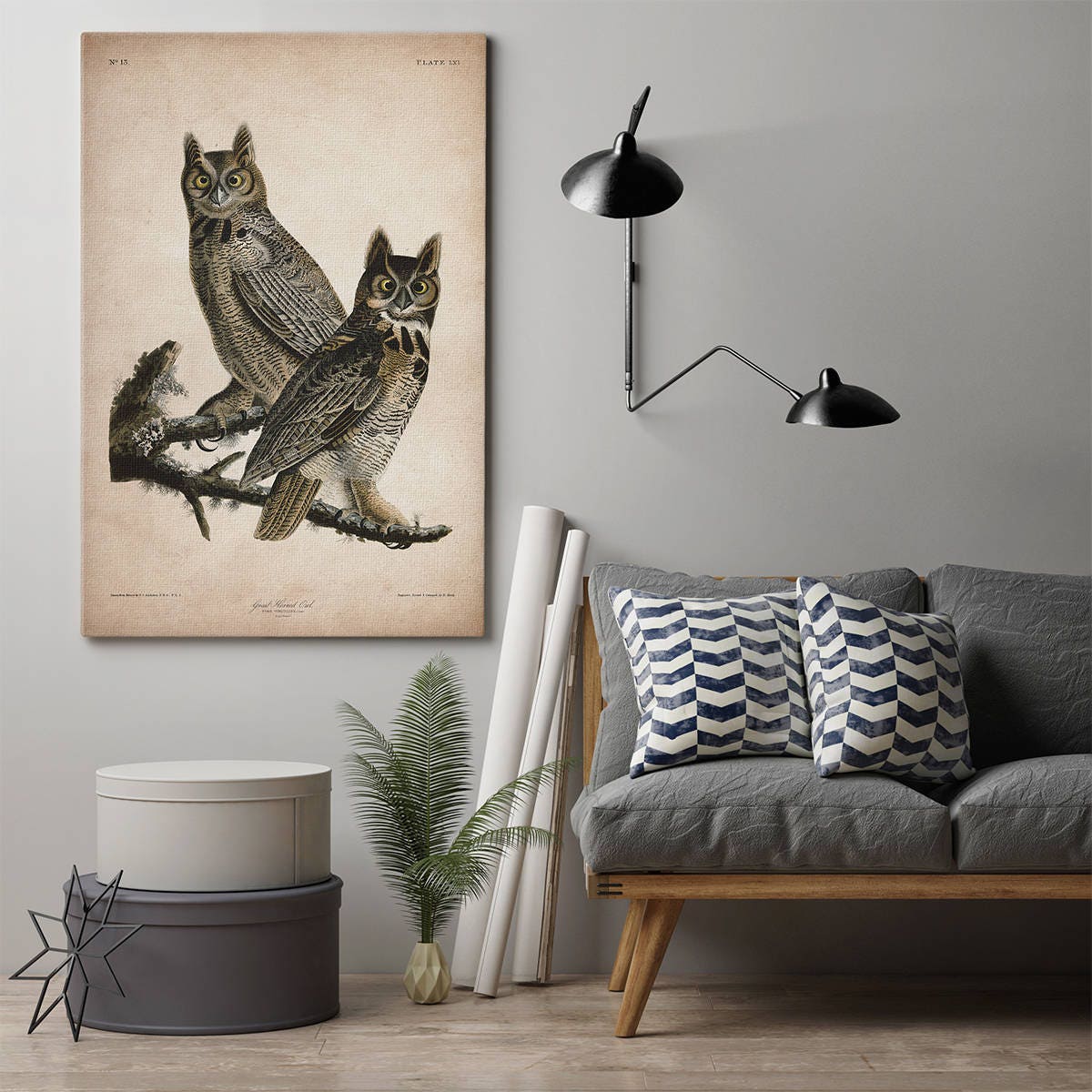 Audubon Bird Print Canvas Owl Print Birds of America John | Etsy
