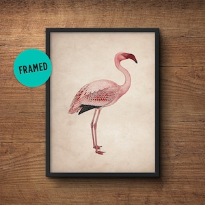 Flamingo print art, Framed art, Flamingo wall print, Flamingo poster, Pink flamingo, Flamingo wall art, Flamingo art, Flamingo wall decor 画像 1