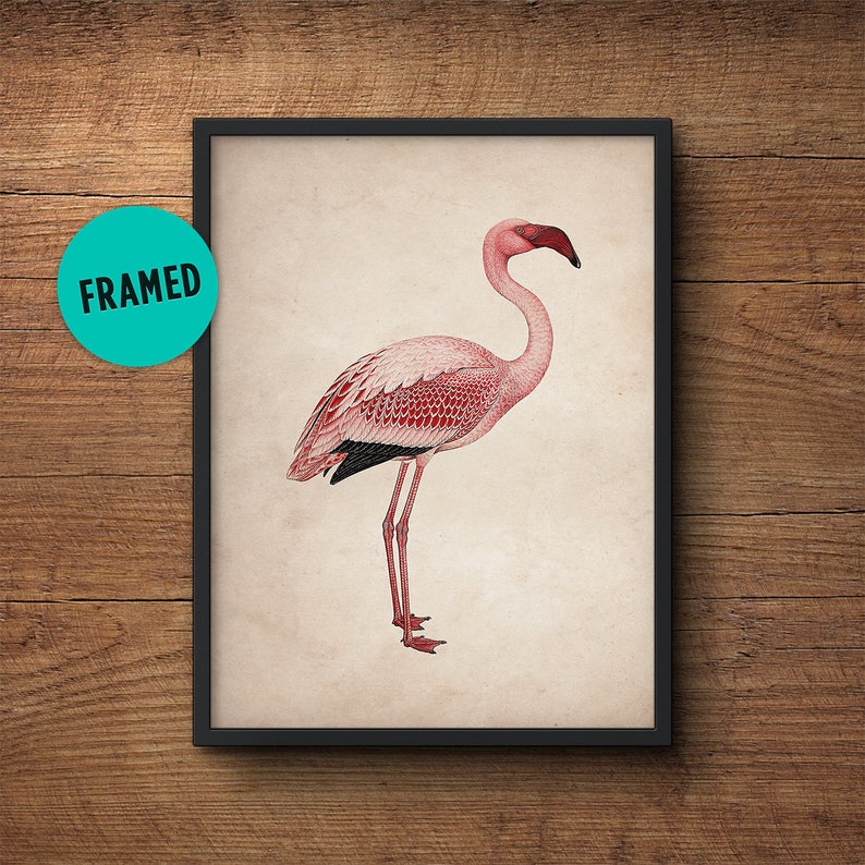 Flamingo print art, Framed art, Flamingo wall print, Flamingo poster, Pink flamingo, Flamingo wall art, Flamingo art, Flamingo wall decor 画像 1