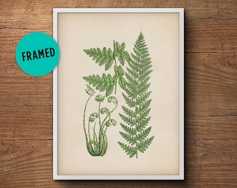 Fern leaf print, Framed botanical print, Fern wall print, Botanical illustration print, Framed fern print, Framed art, Kitchen decor