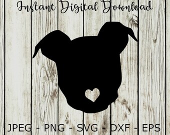 Download Pitbull svg | Etsy
