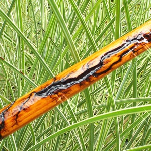 Orange Witch broom for Halloween Decor Witches Besom Broom wizard broom witch's broom Altar broom Jack-O-Besom Meckley Brooms