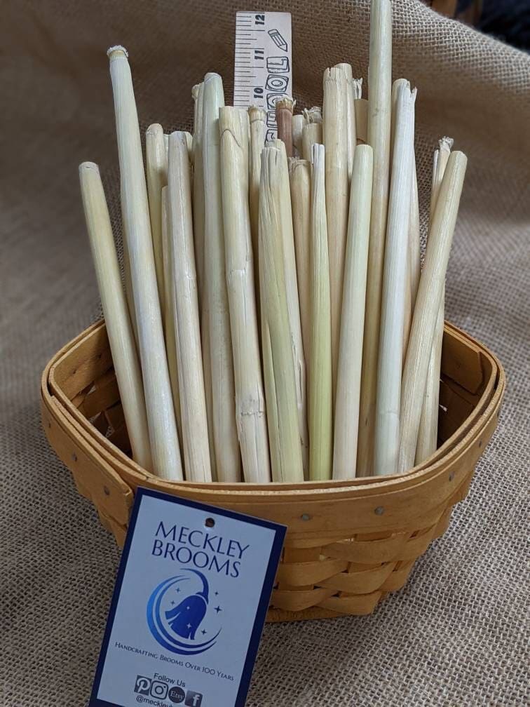 Broomcorn Stalks for Weaving or Plaiting on Broom Handles DIY Etsy