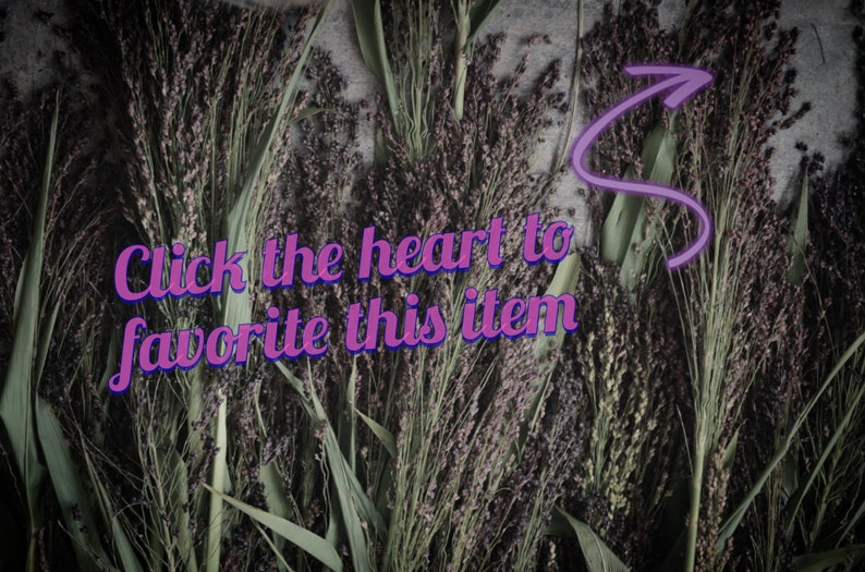 Best Straw Broom Eco Friendly and Sustainable House Broom Etsy