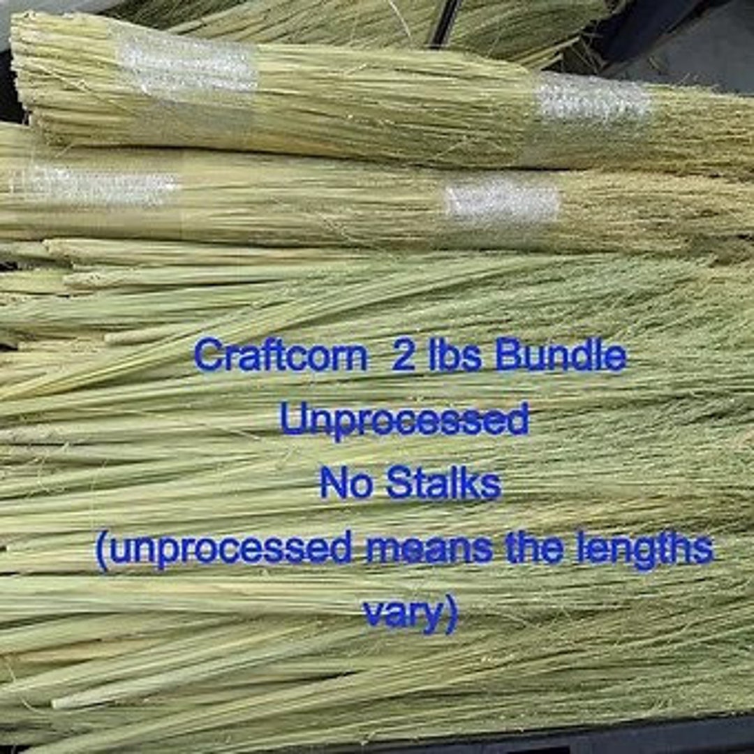 Bulk Natural Craftcorn, 2 Lbs Unprocessed Lengths 20"34" No Stalks