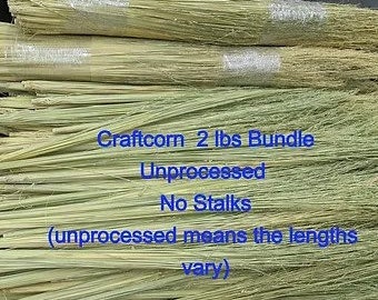 Bulk Natural Craftcorn, 2 lbs unprocessed lengths 24"-36" No Stalks, Perfect for crafting own broom, Often called craft corn, broom straw