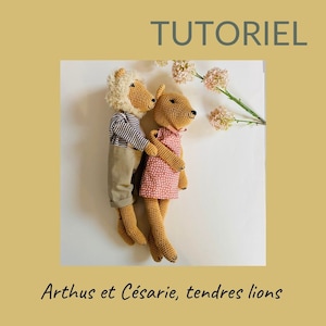 Arthus and Césarie, the lion couple - French pdf tutorial