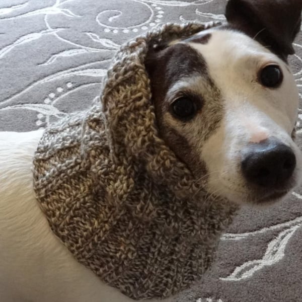 Snood for dog Knitting Pattern ~ PDF ~ EasyPattern ~Skills Easy ~ Hand knitted Super Snood  for dog - Snood