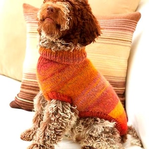 Breipatroon hondentrui ~ pdf ~ eenvoudig te breien ~ gezellig en stijlvol ~ handgemaakte huisdierentrui