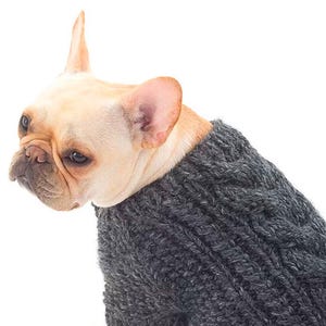 Knitting Pattern for your dog ~ PDF ~ Easy Knit Pattern ~Skills Easy ~ Hand Knitt Super Jumper- Sweater for a dog - Sweater