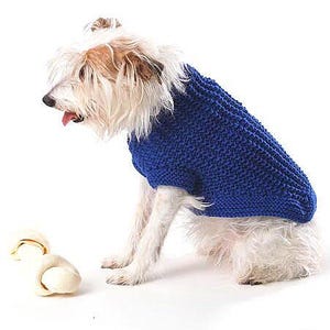 Breipatroon voor je hond ~ pdf ~ Easy Knit Pattern ~ Skills Easy ~ Handgebreide Super Jumper- Trui voor een hond - Trui