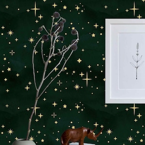 Cielo stellato, stelle luminose, carta da parati moderna, carta da parati staccabile e adesiva, carta da parati spaziale, stampa, astronomia cosmica, universo, carta da parati per bambini