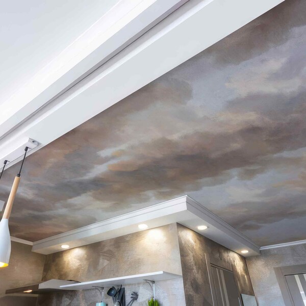 Vibrant Price Of Ceiling Paint Design in 4K Vibrant Price Of Ceiling Paint Design in 4K