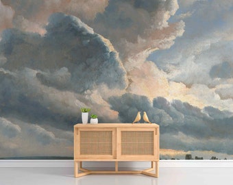 Beige blue pastel clouds Self-adhesive fabric or Non-woven wallpaper Oil painting vintage style Sky Wind Cloudy Mural decor for ceiling