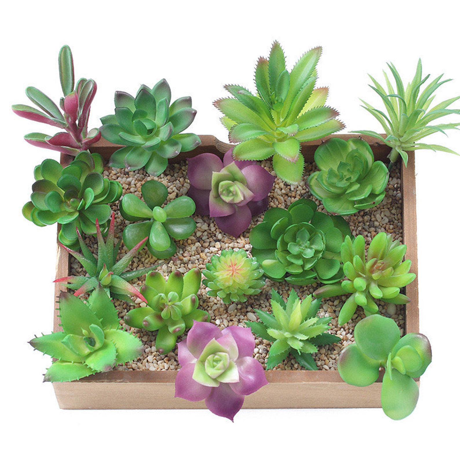 Realistic Artificial Succulents Decor Assorted Mix for Wall Etsy