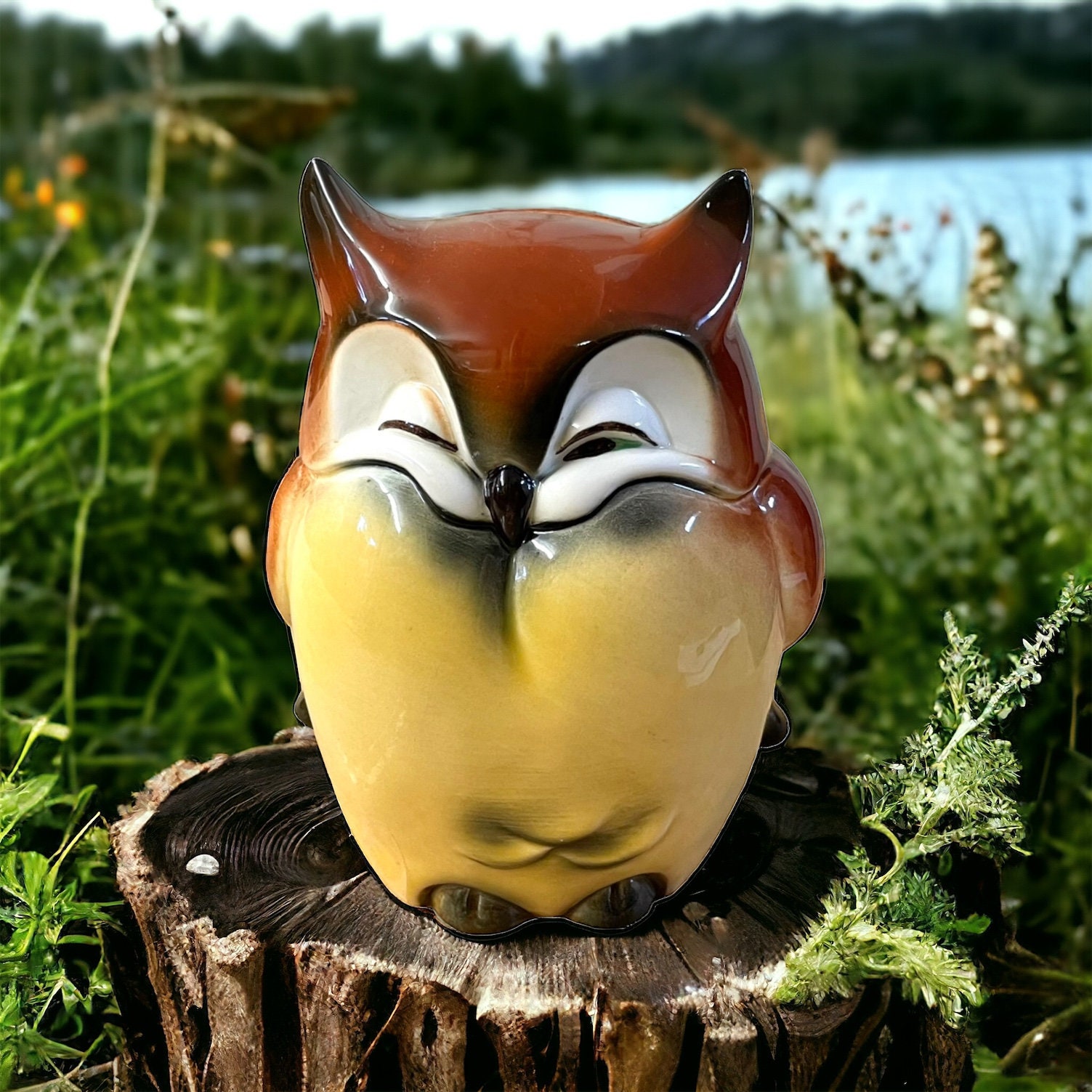 1970 Goebel Owl Money Box - Etsy Norway