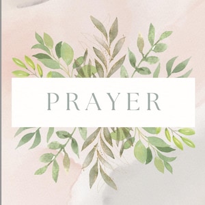 May include: A journal cover with the words "MY BOOK OF PRAYER" in black text. The cover has a watercolor background in shades of pink and gray, with green and gold leaf accents. A Bible verse is at the bottom.