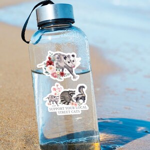 Support Your Local Street Cats & Opossum Kiss-Cut Vinyl Decals