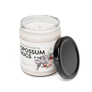 Calming Scent of Opossum Hugs Candle, Cute Gift for Opossum Lovers, Possum Gift, Opossum Gift, Street Cat, Skunk Cat, Cottagecore Aesthetic image 7