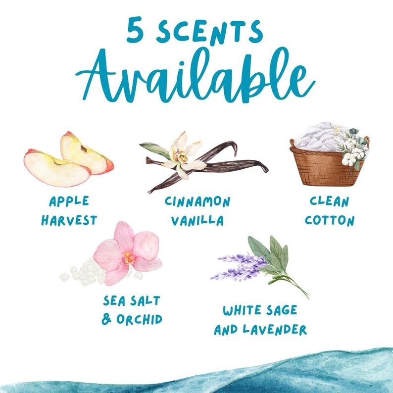 May include: Illustration of five different scents: Apple Harvest, Cinnamon Vanilla, Clean Cotton, Sea Salt & Orchid, and White Sage and Lavender. The illustration is in a watercolour style and features images of apples, cinnamon sticks, a basket of laundry, sea salt, an orchid, and lavender.