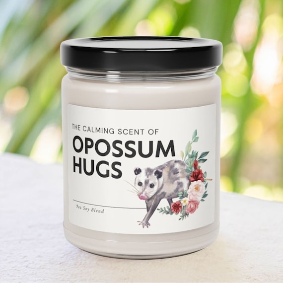 Calming Scent of Opossum Hugs Candle, Cute Gift for Opossum Lovers, Possum Gift, Opossum Gift, Street Cat, Skunk Cat, Cottagecore Aesthetic