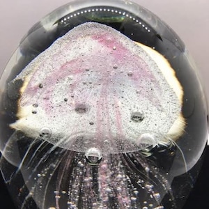 Encased Jellyfish Glass Paperweight