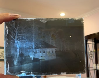 Photo Plate Negative