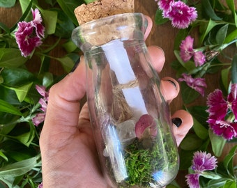 Pot d'intention : bouteille à souhaits avec cristal de quartz et rose