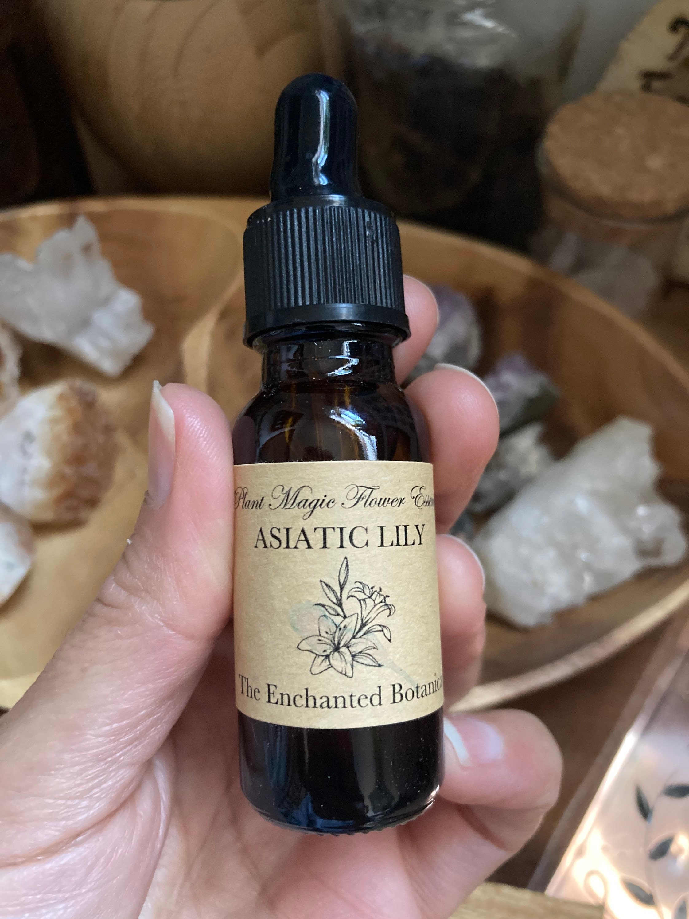 Asiatic Lily Flower Essence Energetic Healing Chakras Etsy