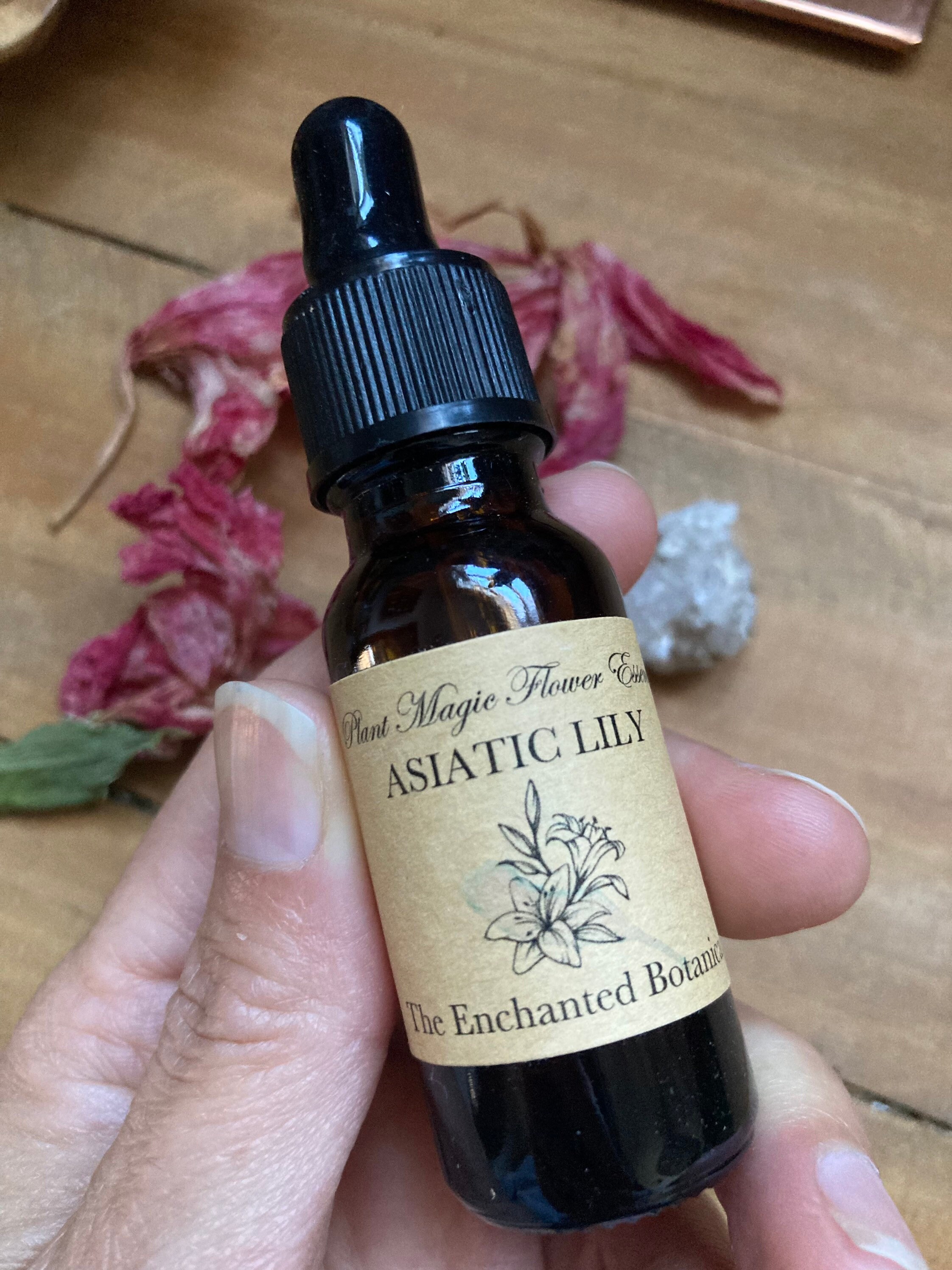 Asiatic Lily Flower Essence Energetic Healing Chakras Etsy