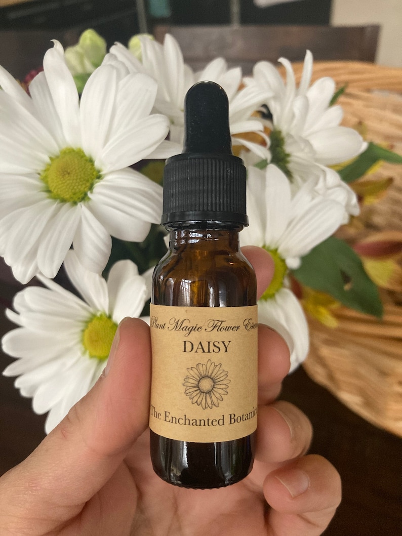 Daisy Flower Essence Etsy