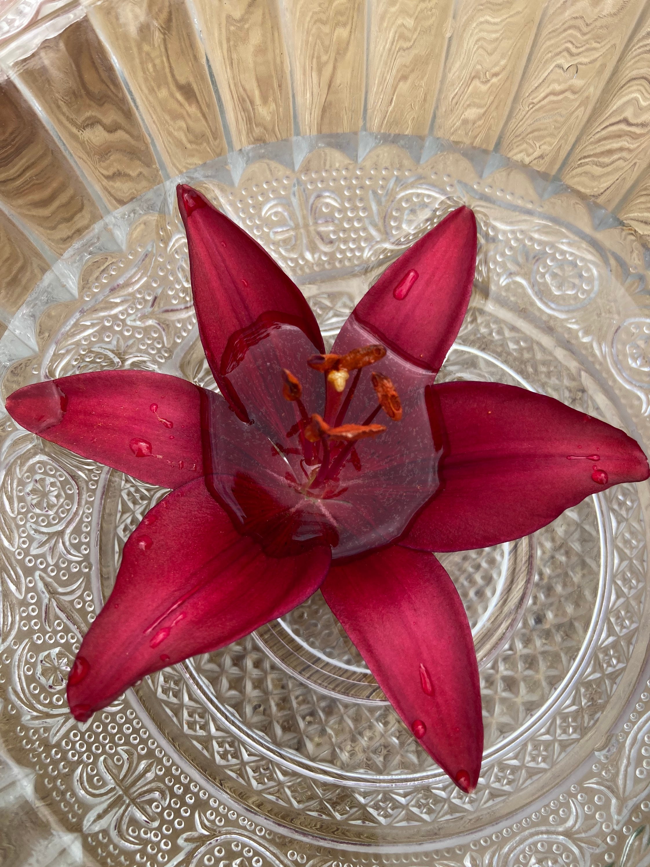 Asiatic Lily Flower Essence Energetic Healing Chakras Etsy