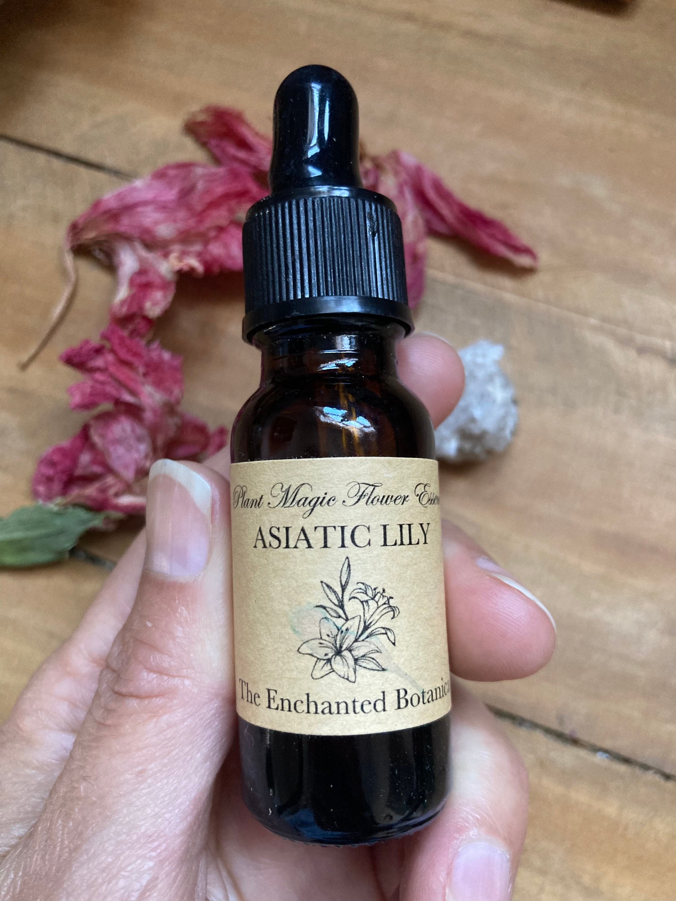 Asiatic Lily Flower Essence Energetic Healing Chakras Etsy