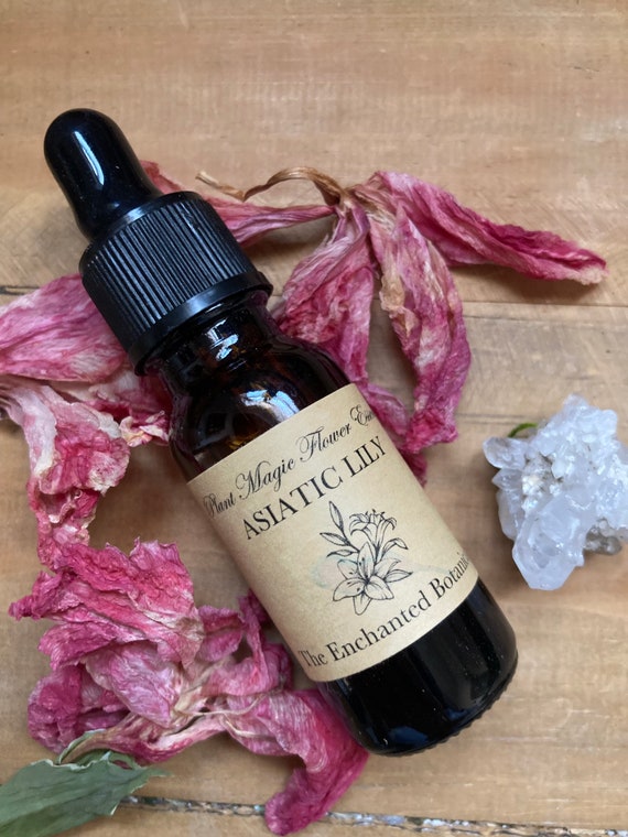 Asiatic Lily Flower Essence Energetic Healing Chakras Etsy