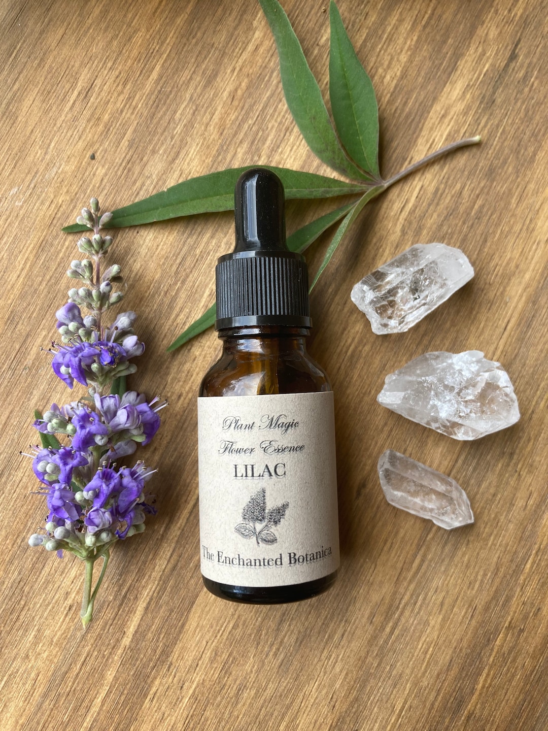 Lilac Flower Essence Herbalism Chakras Plant Medicine Flower Therapy