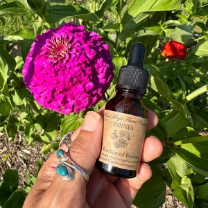 Zinnia Flower Essence * Energetic Healing * Chakras * Plant Medicine * Plants * Flowers * Spiritual * Medicine * Alternative Healing