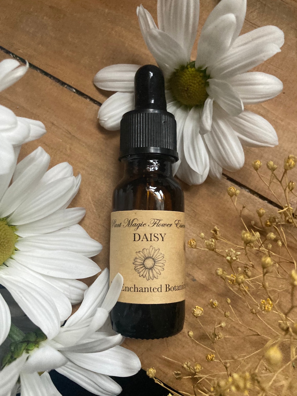 Daisy Flower Essence Etsy