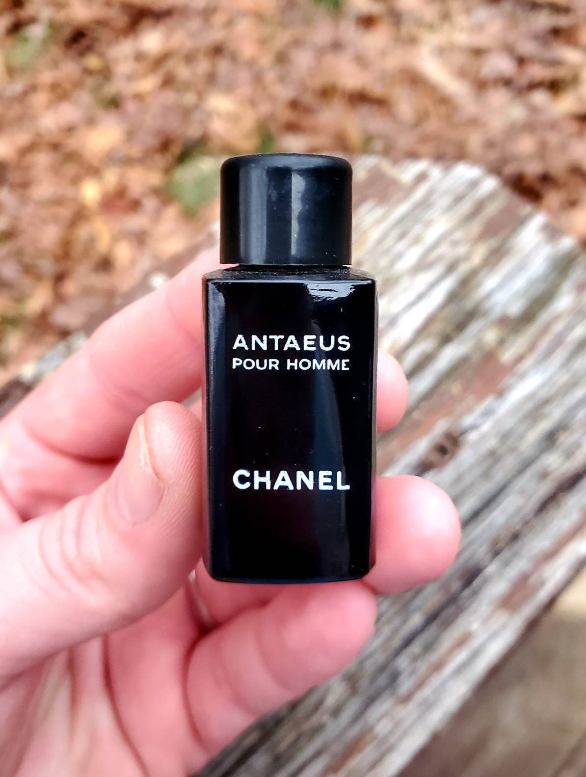 Vintage Chanel Antaeus Pour Homme Men's EDT Cologne .25 oz Etsy