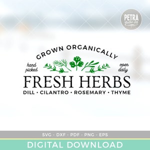 May include: A logo design for a business that sells fresh herbs. The logo features the text "Grown Organically" in a black arch above the text "Fresh Herbs" in a larger font. Below the text "Fresh Herbs" is the text "Dill Cilantro Rosemary Thyme". The logo also features a hand-drawn illustration of herbs.