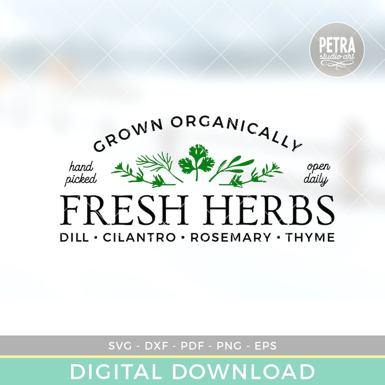 May include: A logo design for a business that sells fresh herbs. The logo features the text "Grown Organically" in a black arch above the text "Fresh Herbs" in a larger font. Below the text "Fresh Herbs" is the text "Dill Cilantro Rosemary Thyme". The logo also features a hand-drawn illustration of herbs.