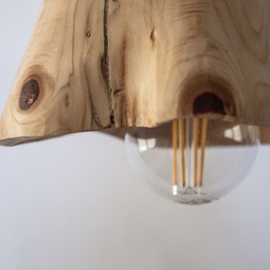 Plug in Wooden Lamp, Pendant Light, Rustic Wooden Hanging Lamp, Scandinavian Lamp image 5